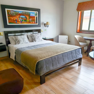 Habitación Individual Superior